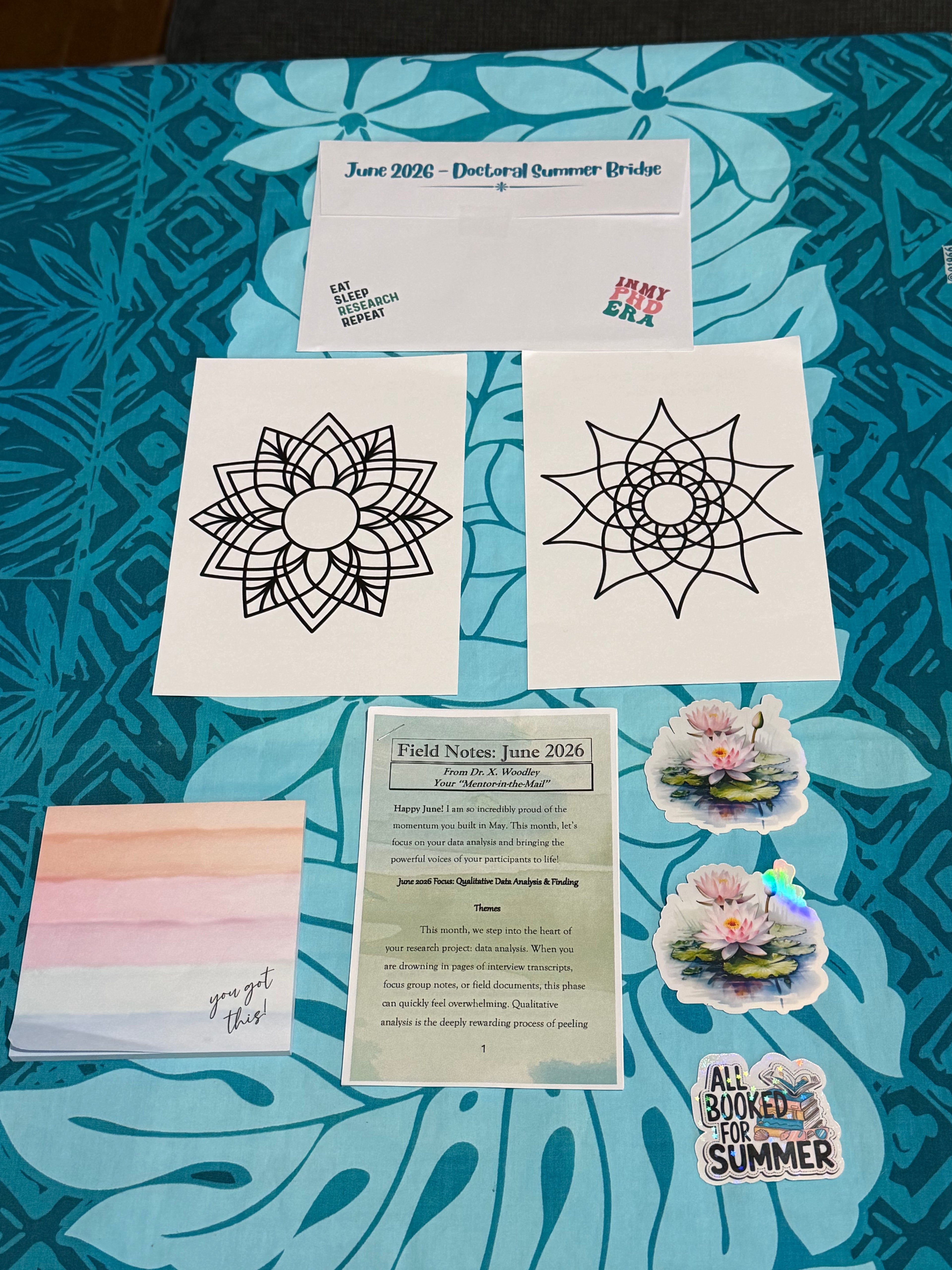Items included in the Doctoral Summer Bridge Pack
